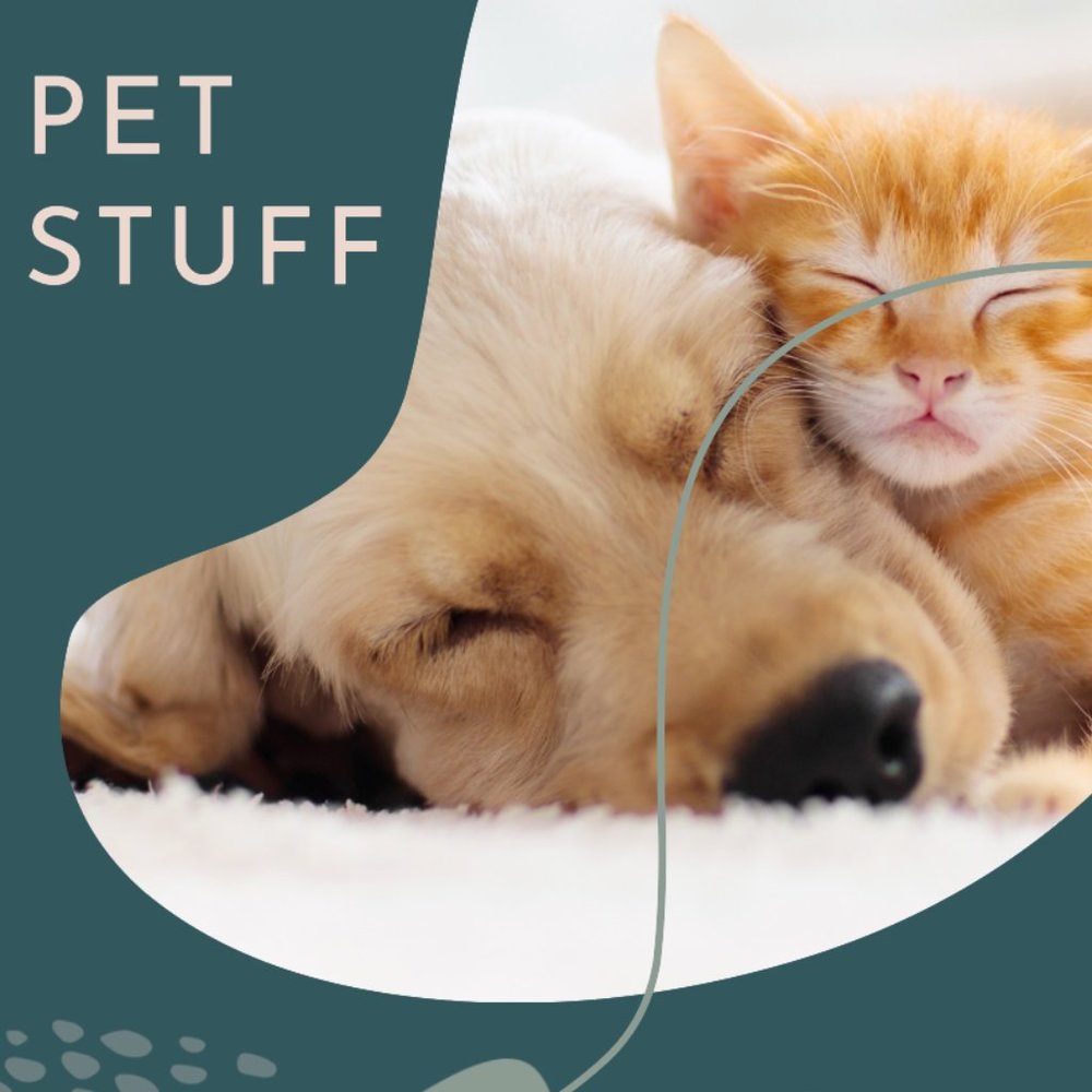 Pet Selection